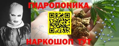 ешки Лесосибирск