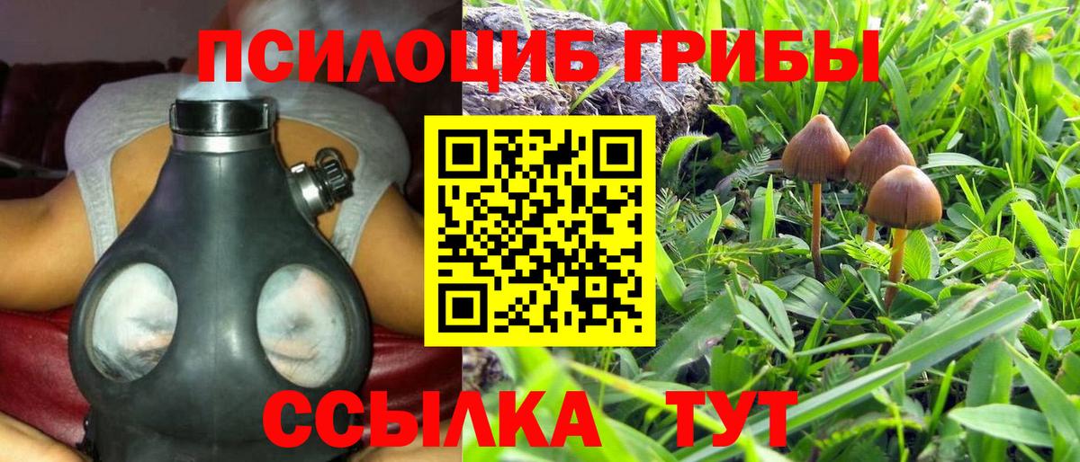 Псилоцибиновые грибы GOLDEN TEACHER  Вход с VPN  Янаул 